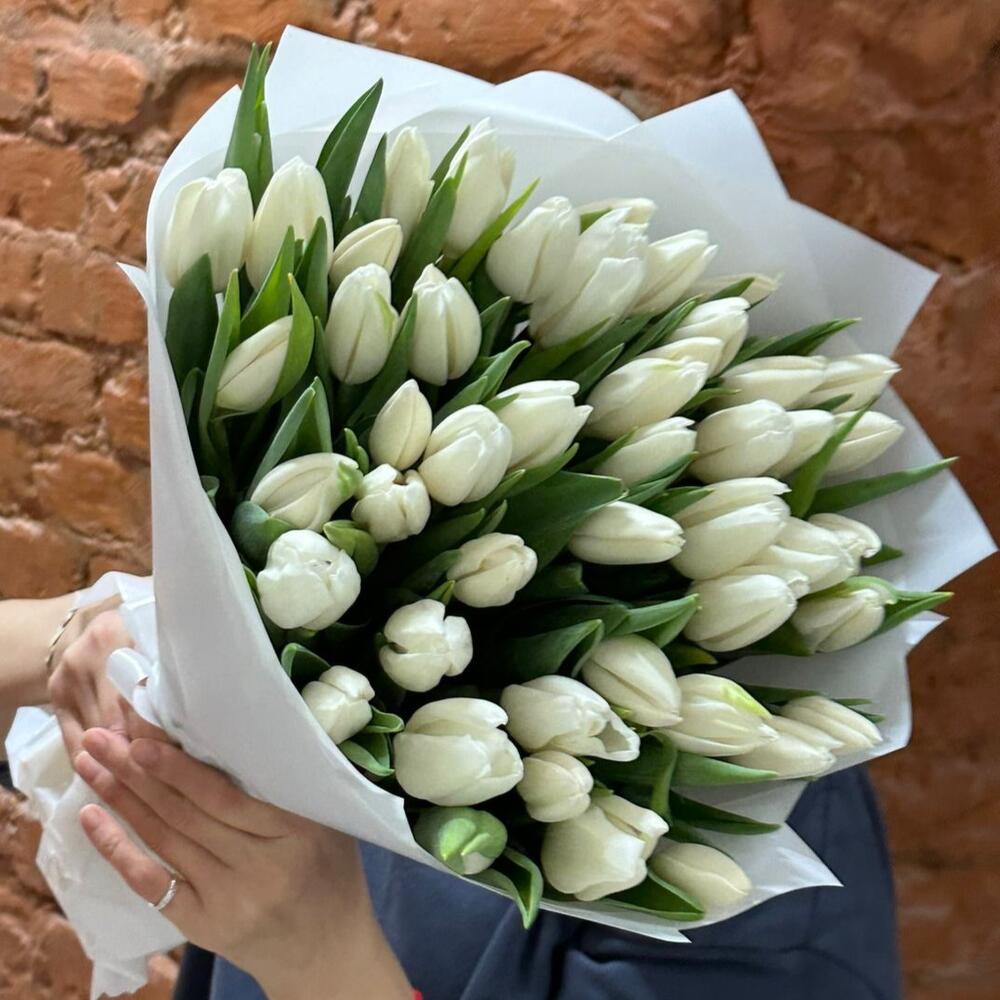 Тюлпаны