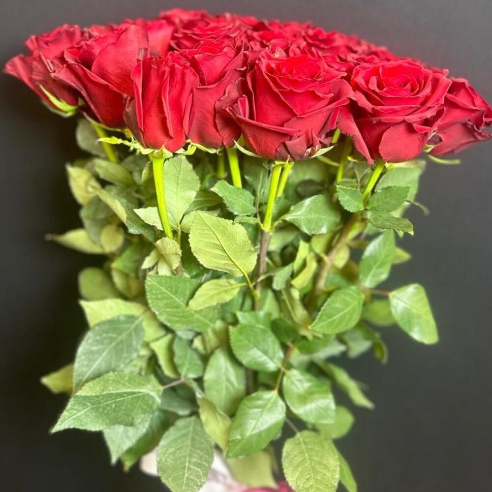Розы эквадор 60 см (эксплорер)