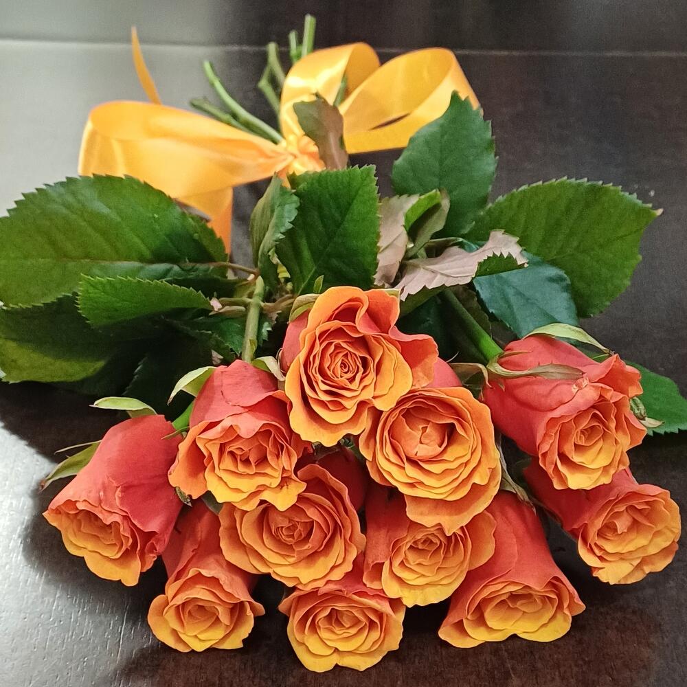 11 roses SPAIN