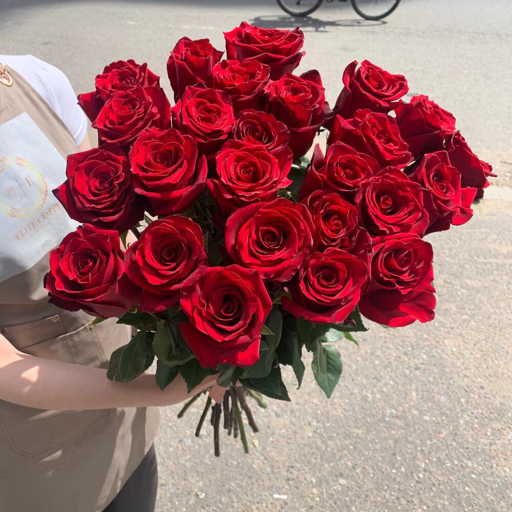 Роза Эксплорер 25 шт
