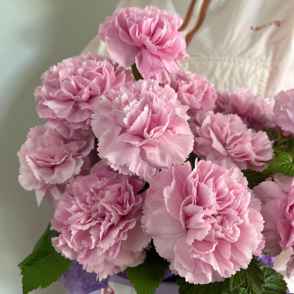 Стойкие диантусы и малина в шляпной коробке 🌸