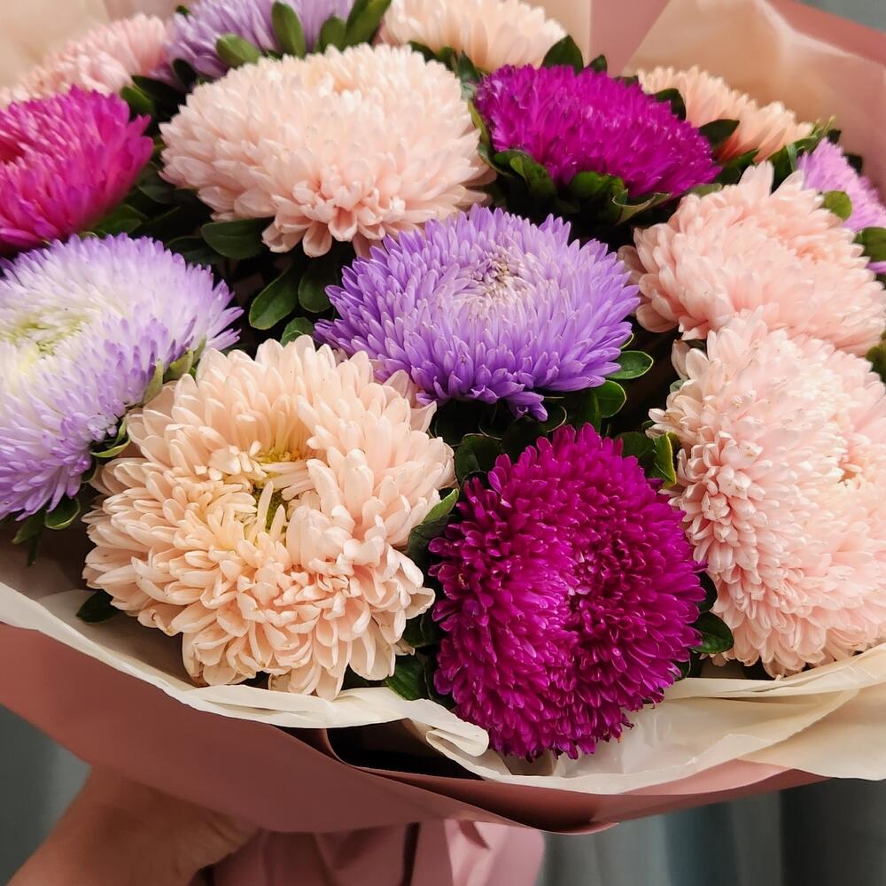 Астра 15