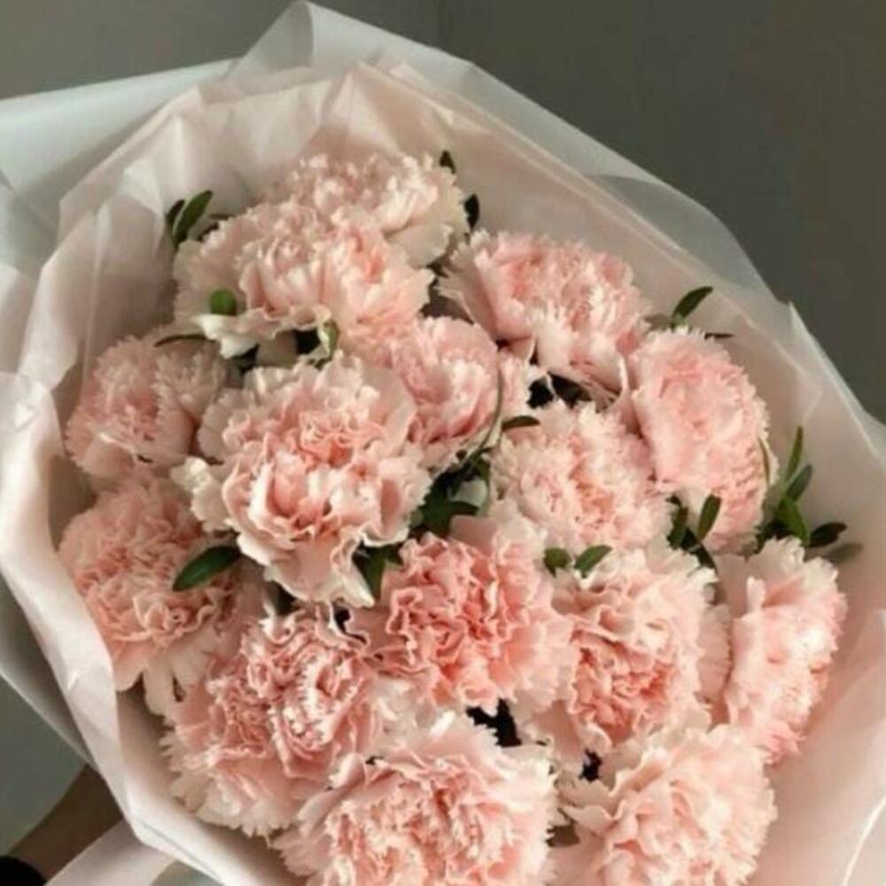 Гвоздики 15 шт