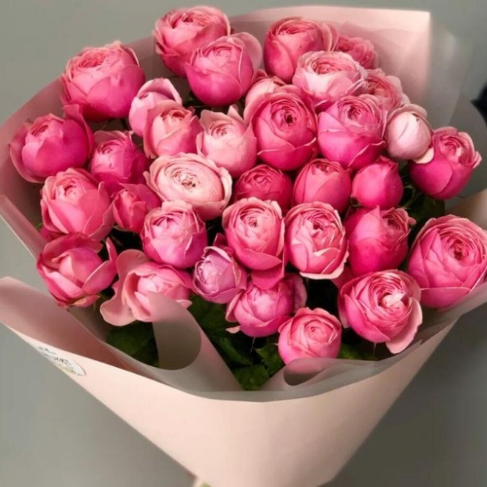Сильва пинк 🌷