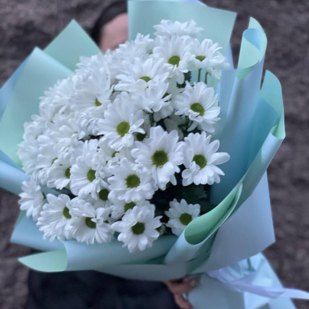 ~ 71 ромашка белая