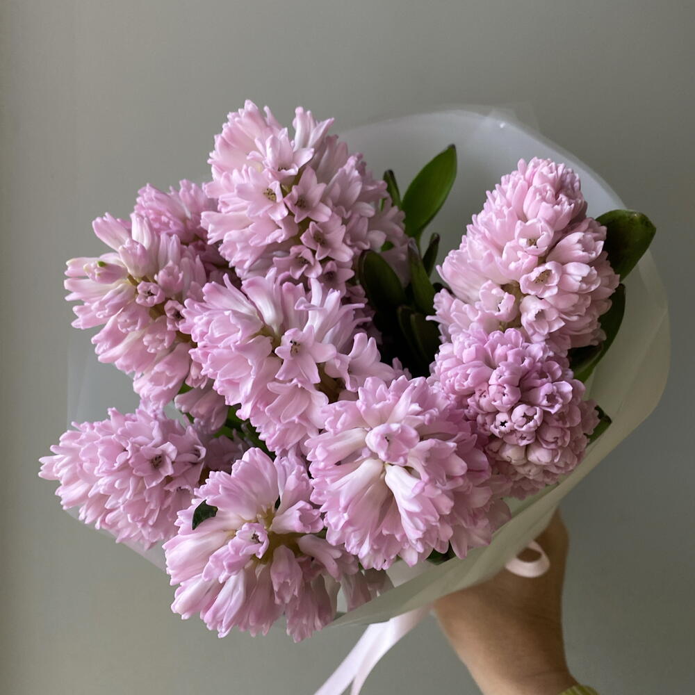 Гиацинты розовые 💗 букет из 9шт
