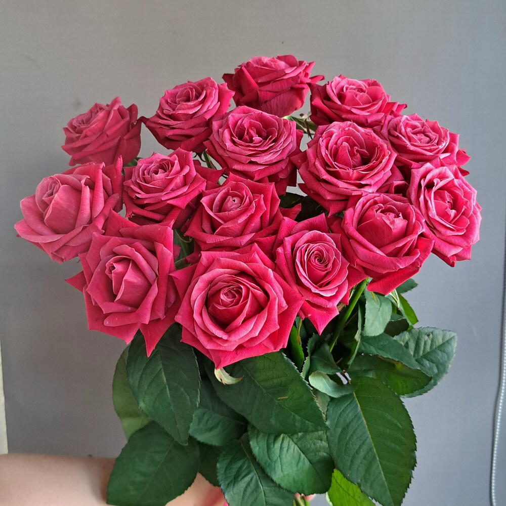 15 малиновых роз