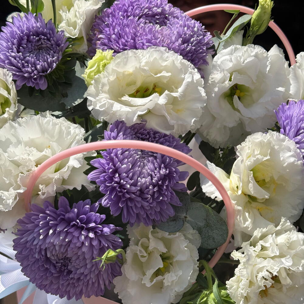 Lavender Cloud