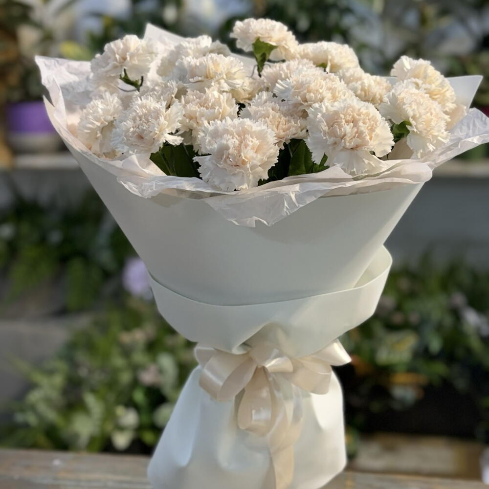 Прекрасные диантусы