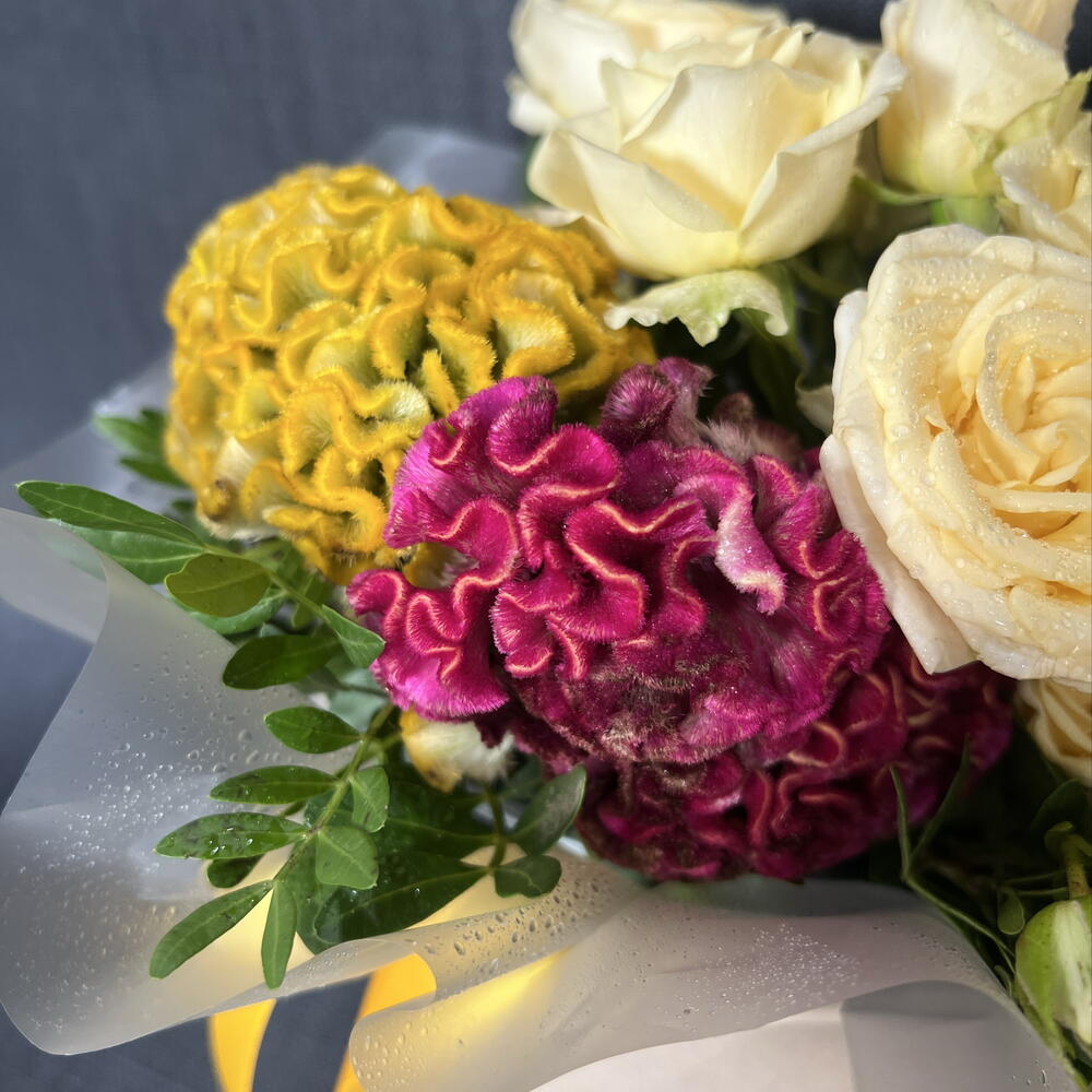 Необычная коробка с МОЗГАМИ (целозией)💛