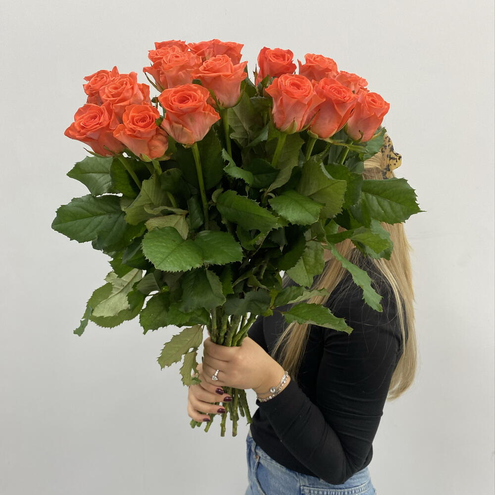19 коралловых роз сорта Вау
