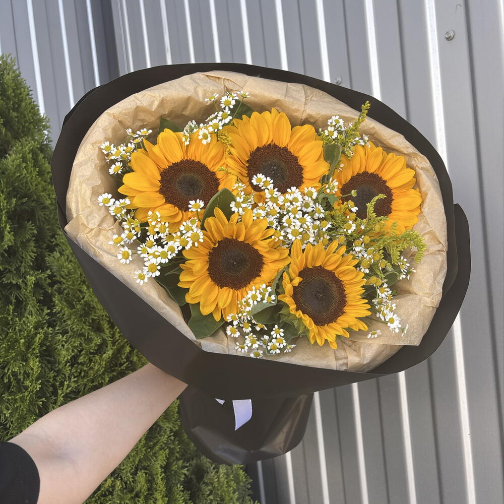 Подсолнухи 🌻