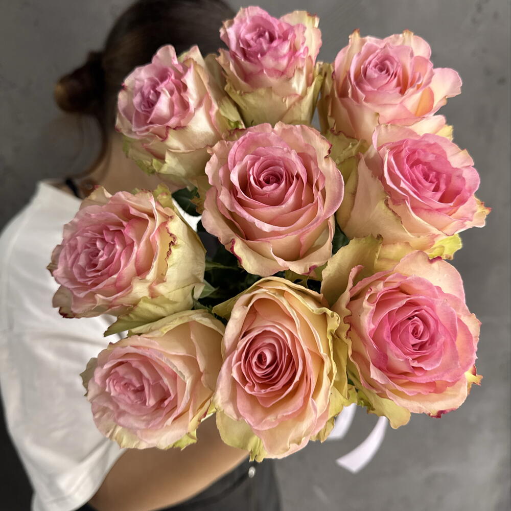 Розы «Эсперанса»🌸
