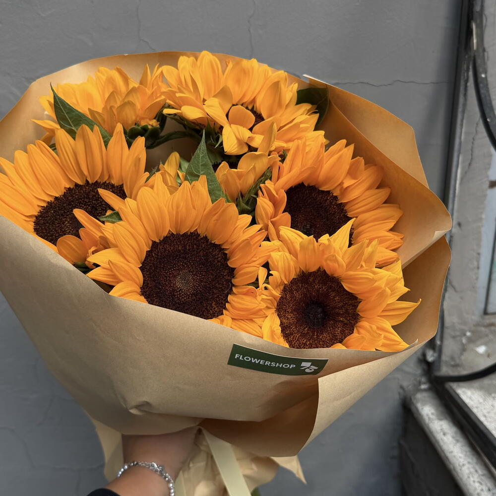 Sunflower season