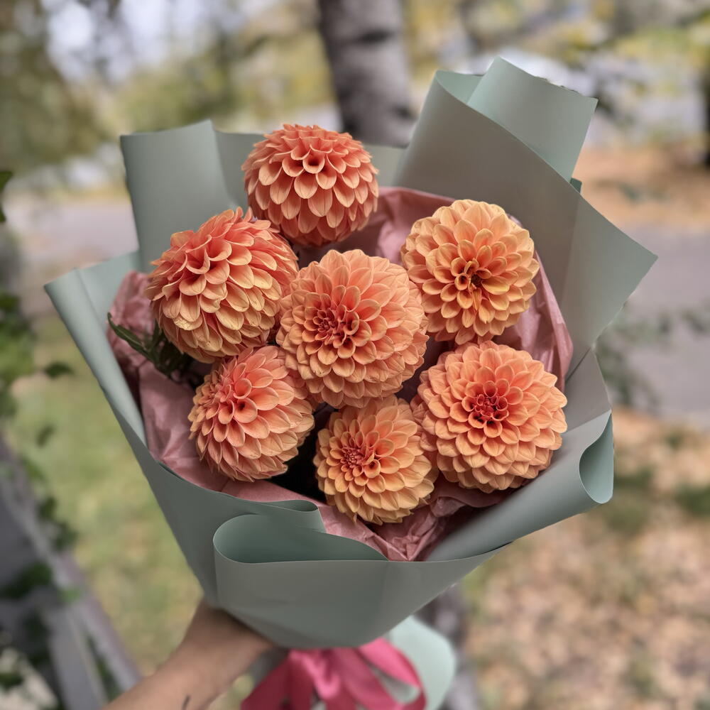 Терракотовые георгины ( моно букет)