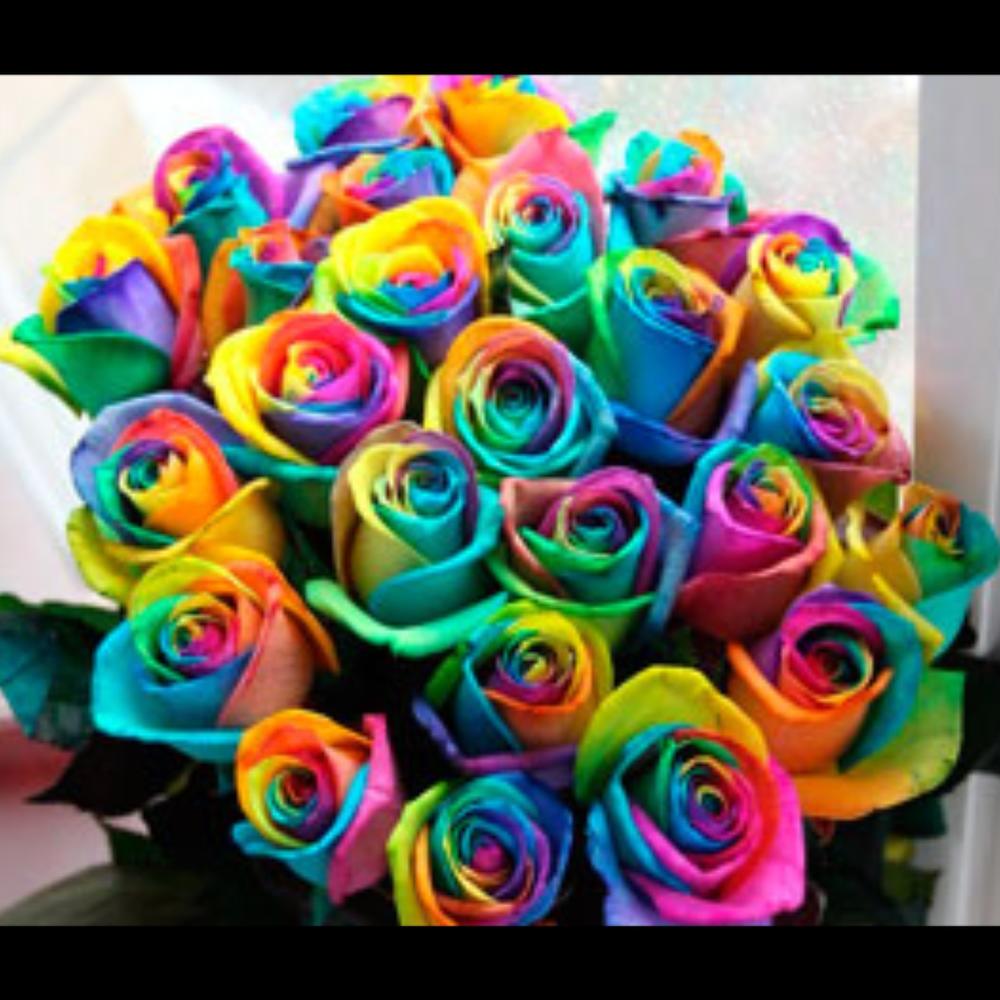 Разноцветная роза с пищевым красителем