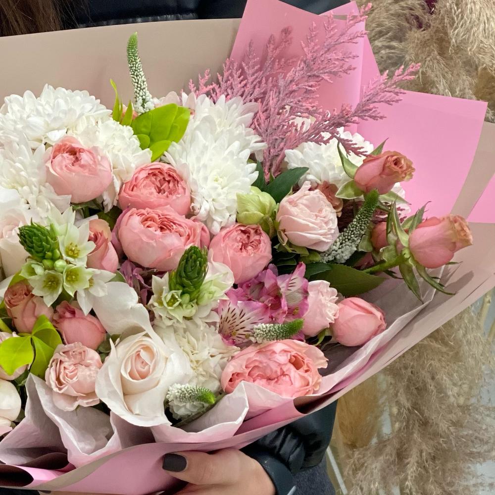 1 🕊