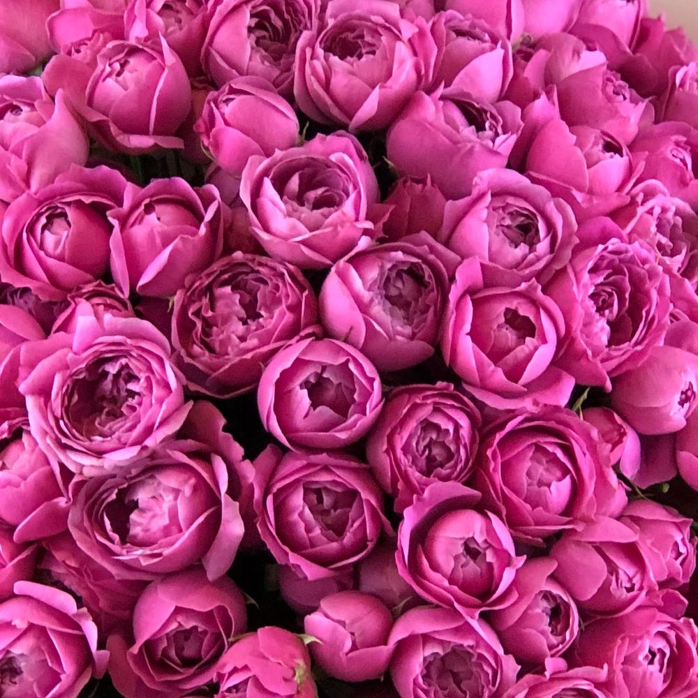 Яркая любовь