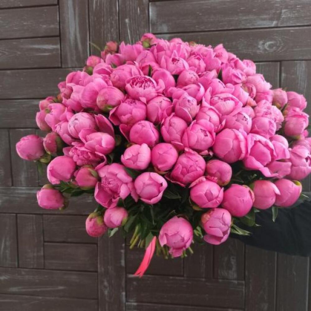 101 пион. Fragrant Bouquet пион. 101 Розовый пион. Букет из 101 пиона. Монобукет - пионы - 101 цветок.