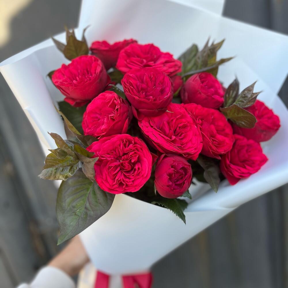 Красные пионовидные розы