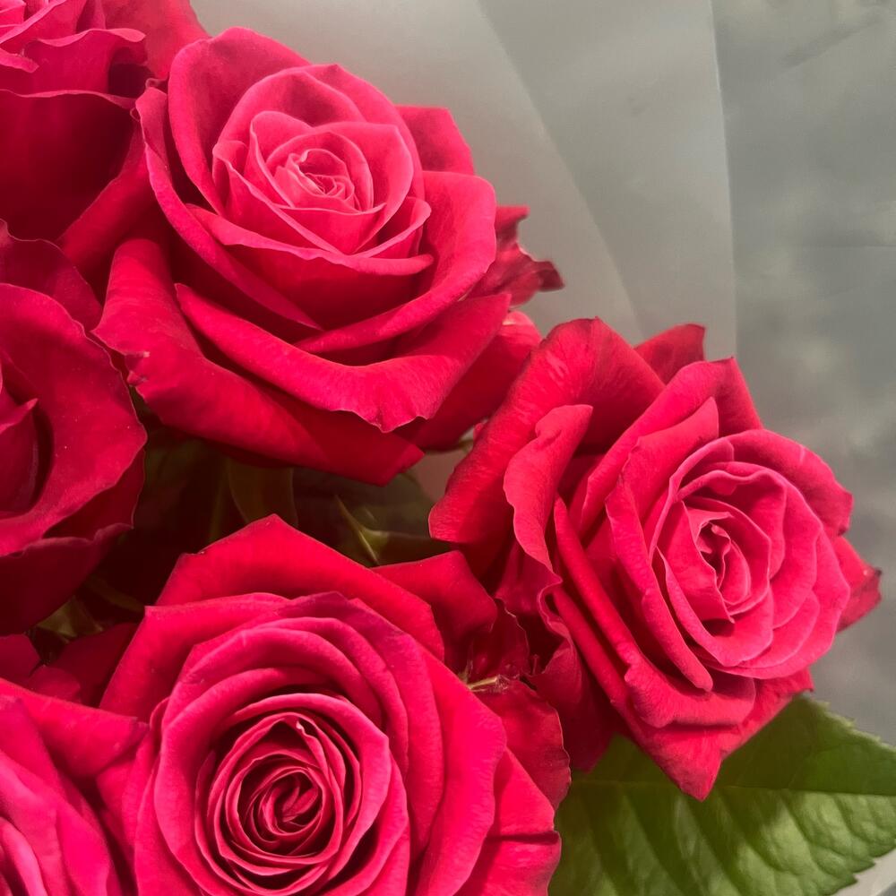 Розовые розы 9 шт