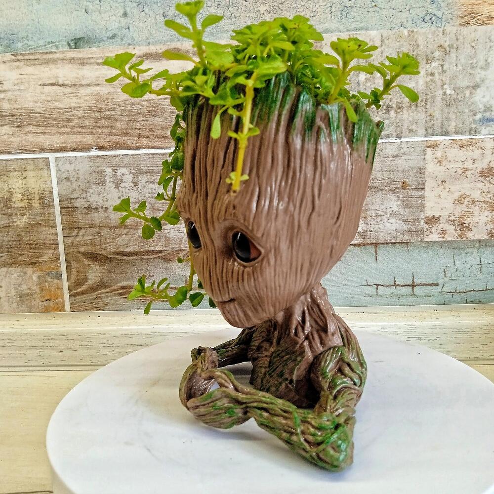 Groot-el guardián de la vegetación 🌱
