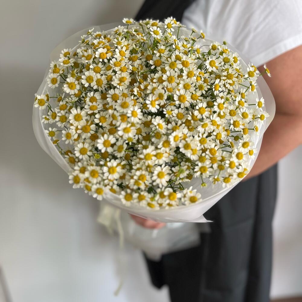 «Солнечные поля» 🌼
