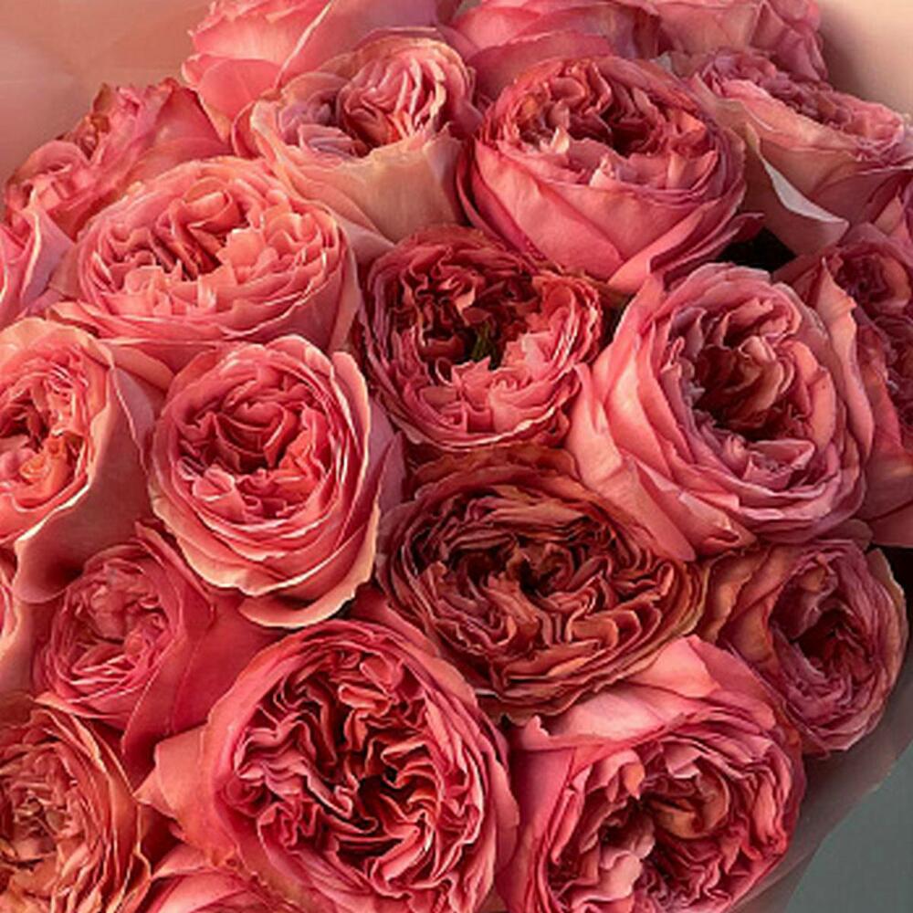 Букет пионовидных роз Pink Expression L