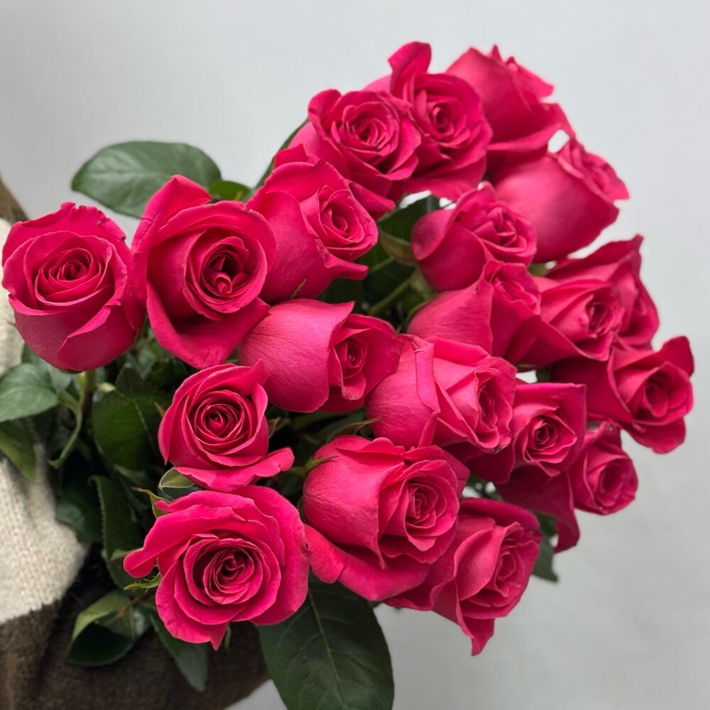 Bouquet of 21 Pink Floyd roses