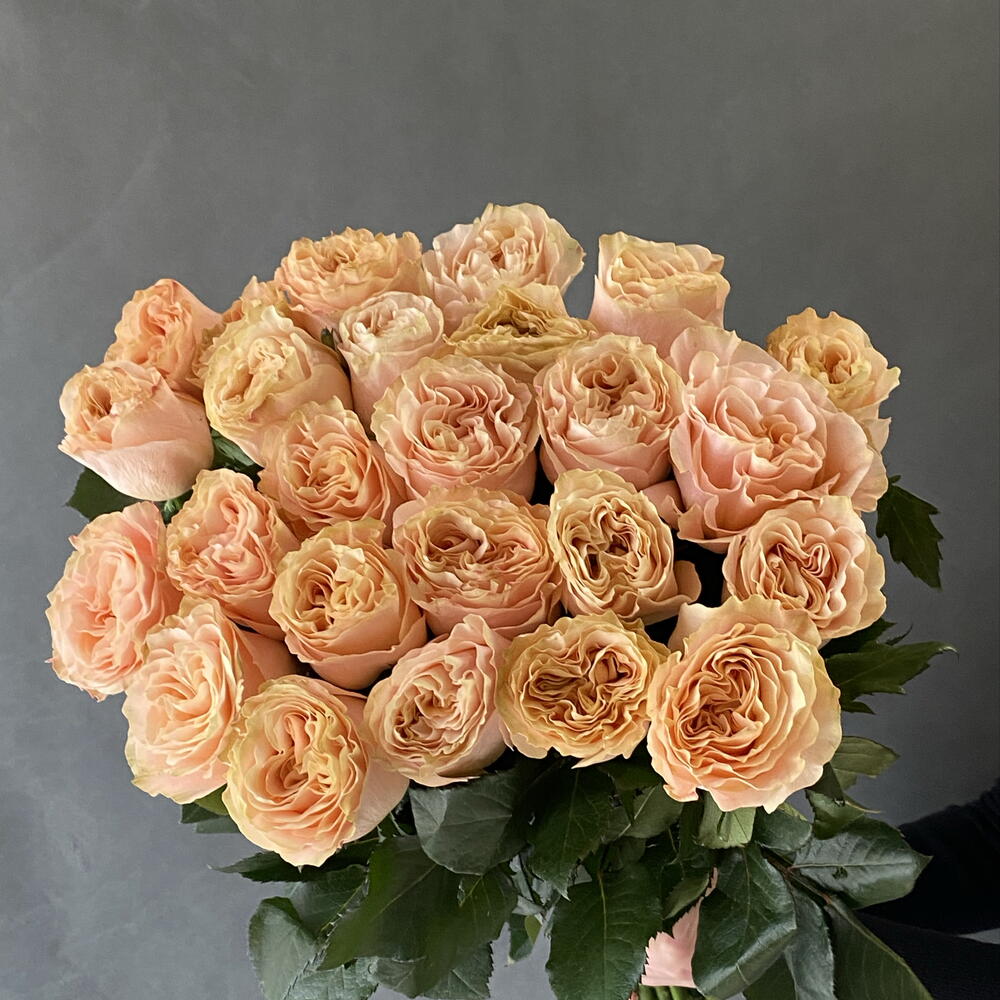 Роза Принцесса кроун