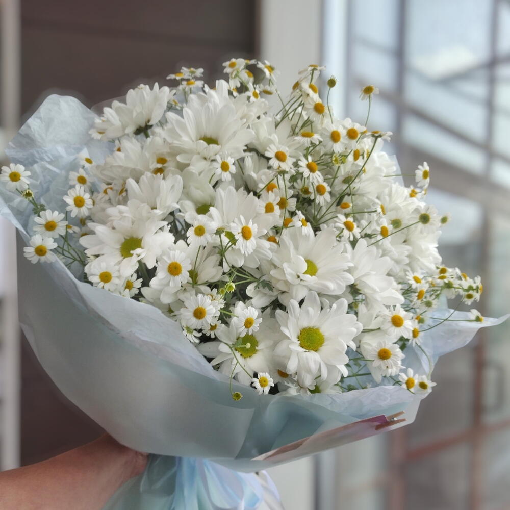 Солнечное настроение