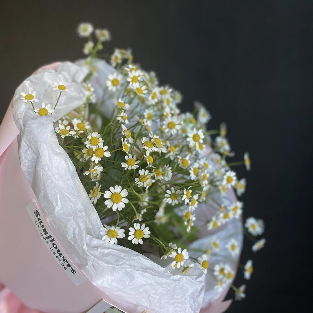Bouquet of summer daisies