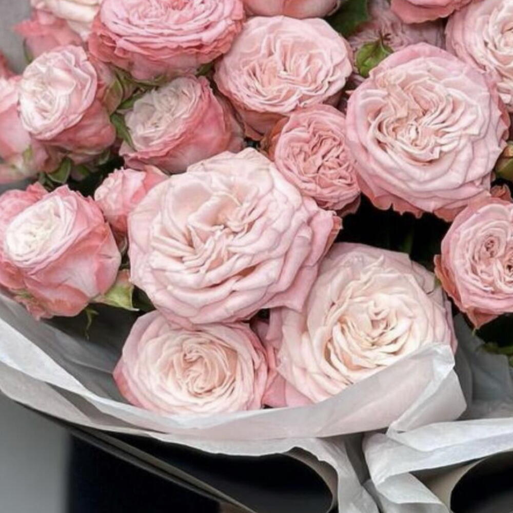 Delicate fleur