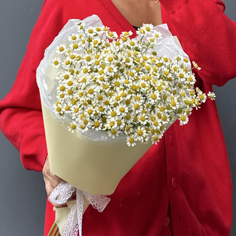 Букет Ромашки