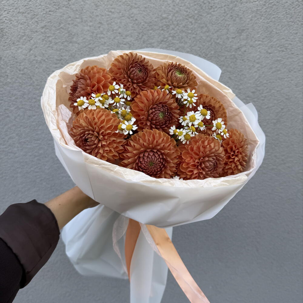 Георгины с ромашками