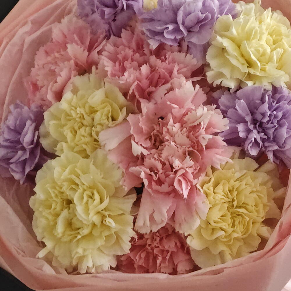 Диантусы разноцветные 💜️💛💚🩵