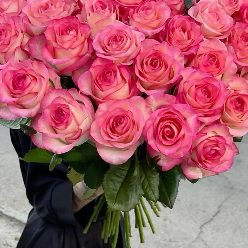Pink Dream💗