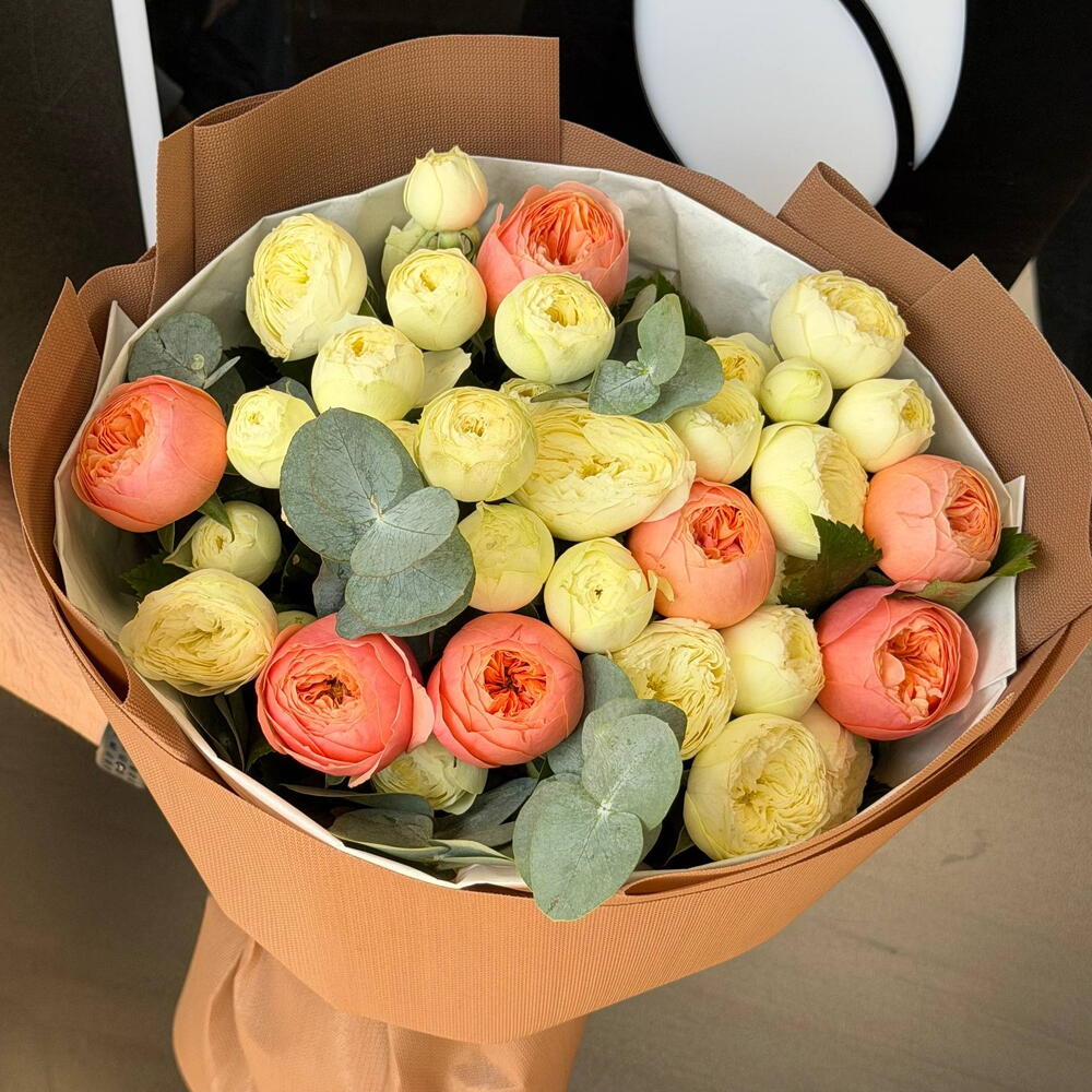 🌷 Maison Douce 🤍