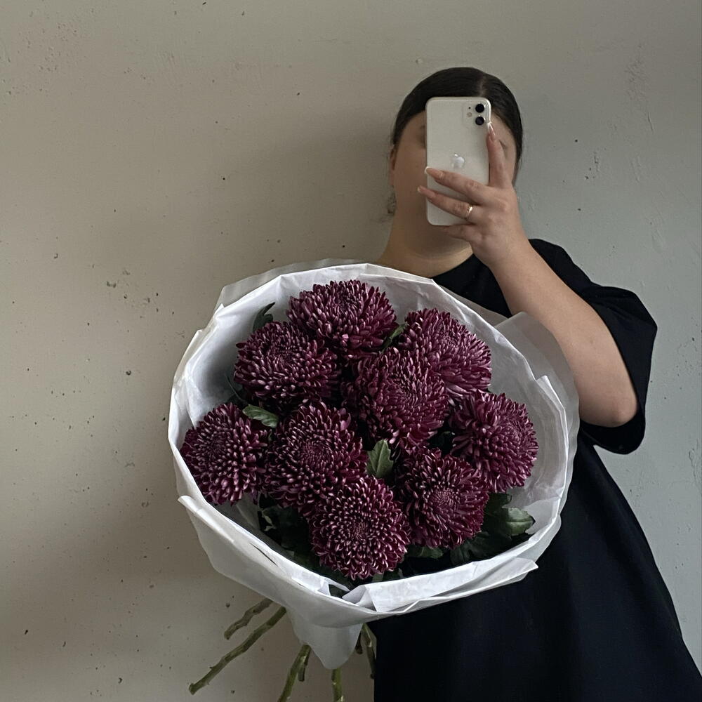 Сезонные хризантемы сорта «Бигуди» в винном оттенке в упаковке 🍇 9