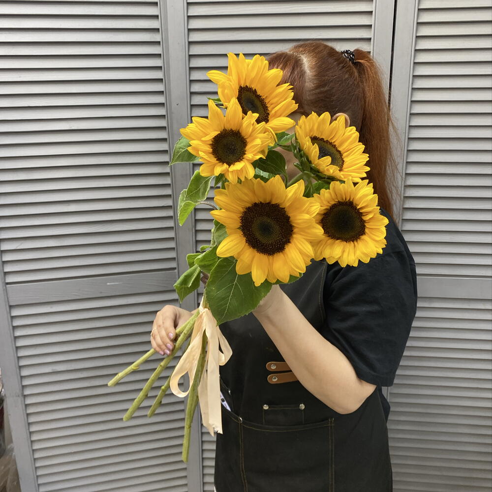 Подсолнухи 🌻