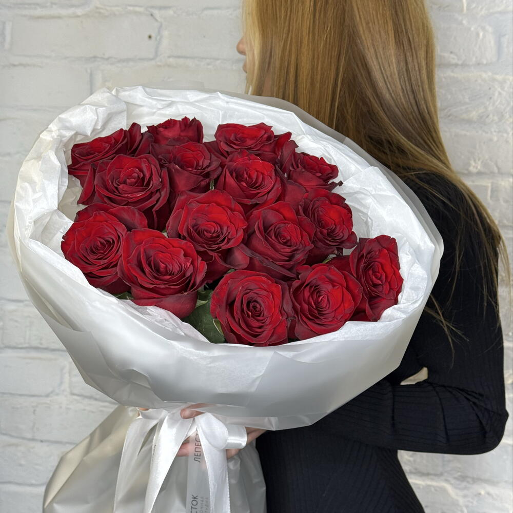 Розы Explorer 🌹