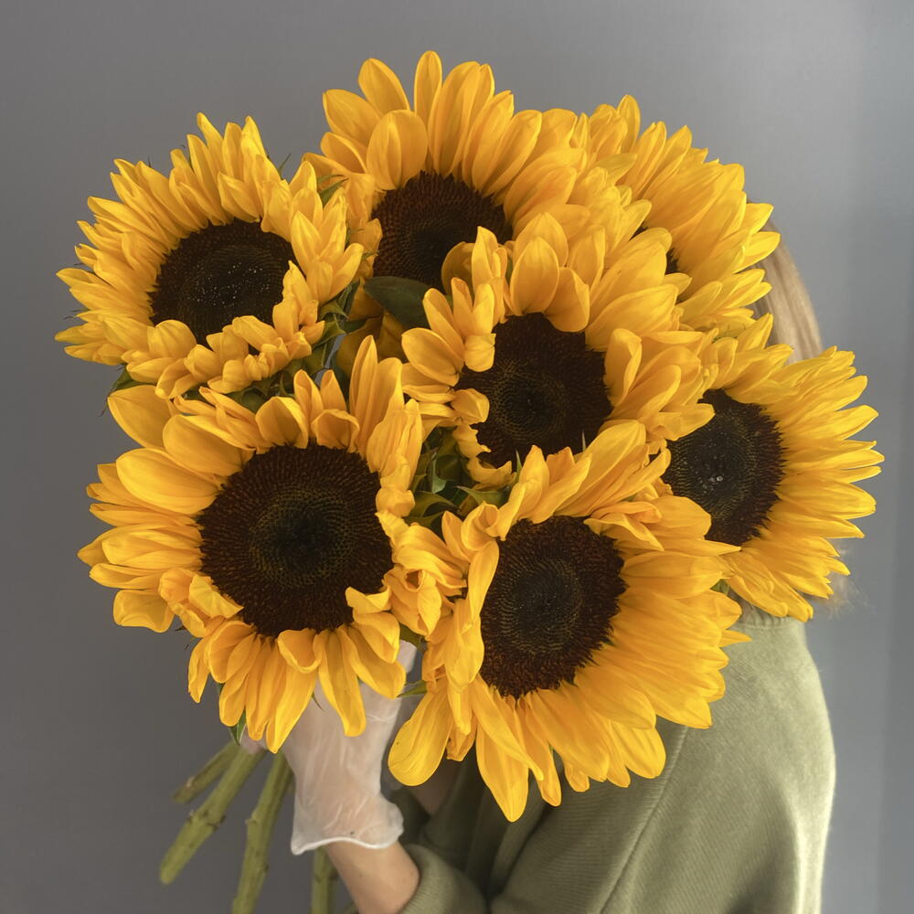 Монобукет солнечный 🌻 яркие подсолнухи 🌻🌻🌻 7 шт