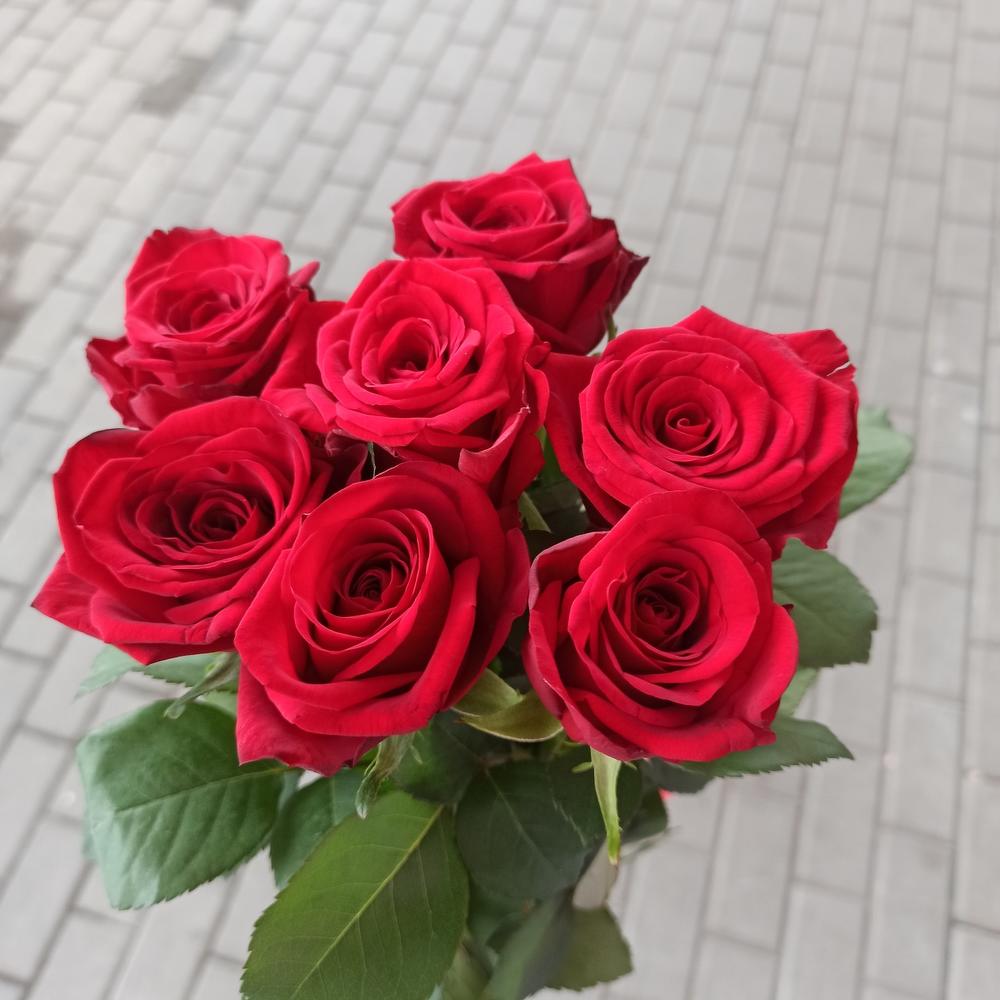 7роз