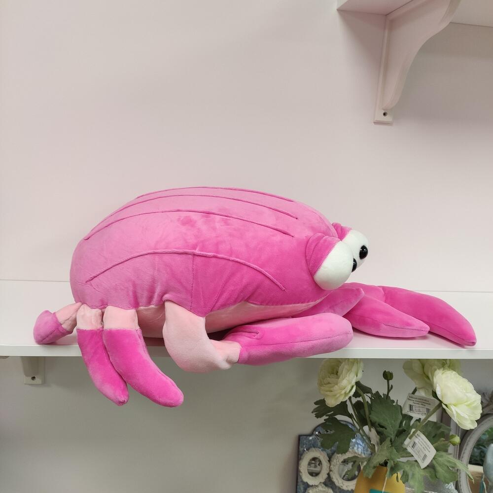 🦀 краб