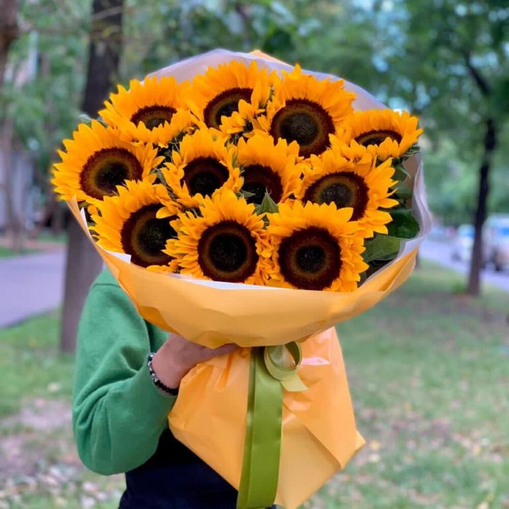 Солнечные лучики