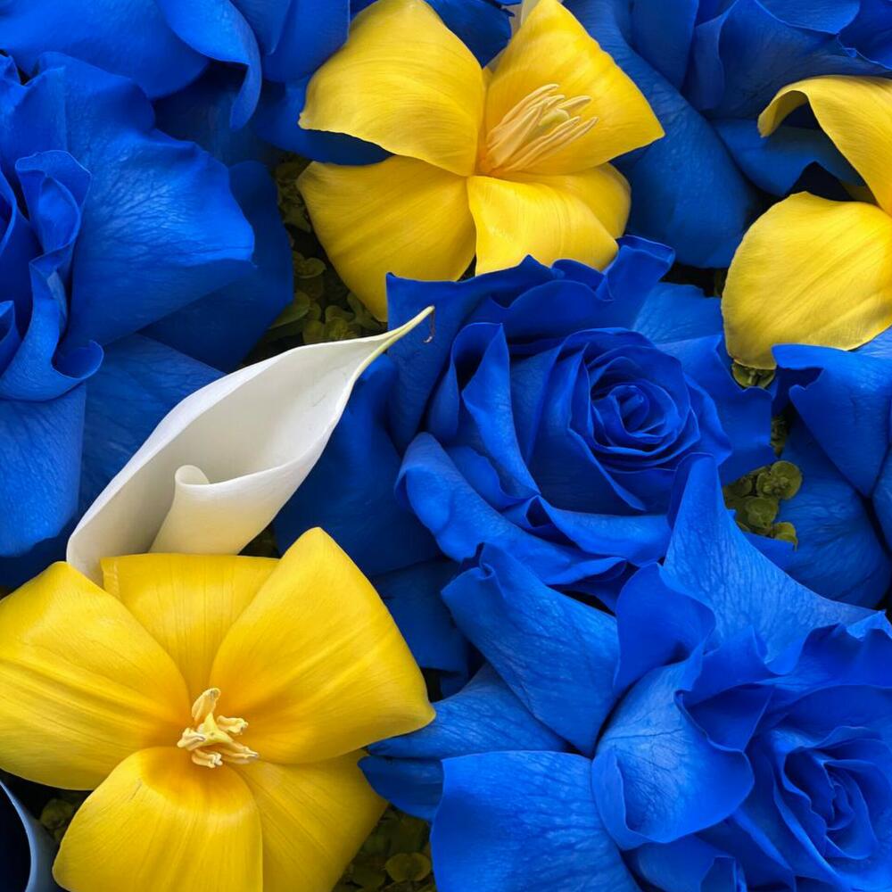 Holland Roses and Holland Tulips Bouquet N-017