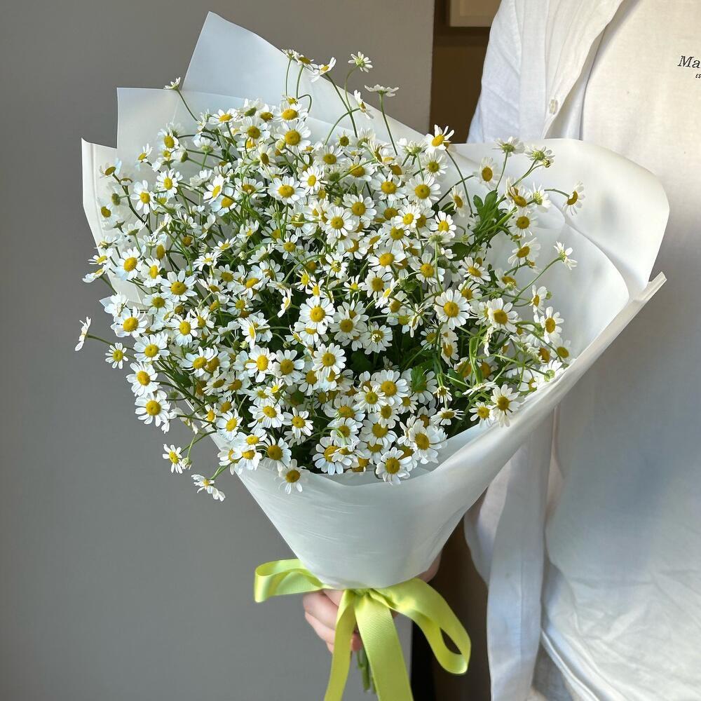 Очаровательный букет ромашек 🌼