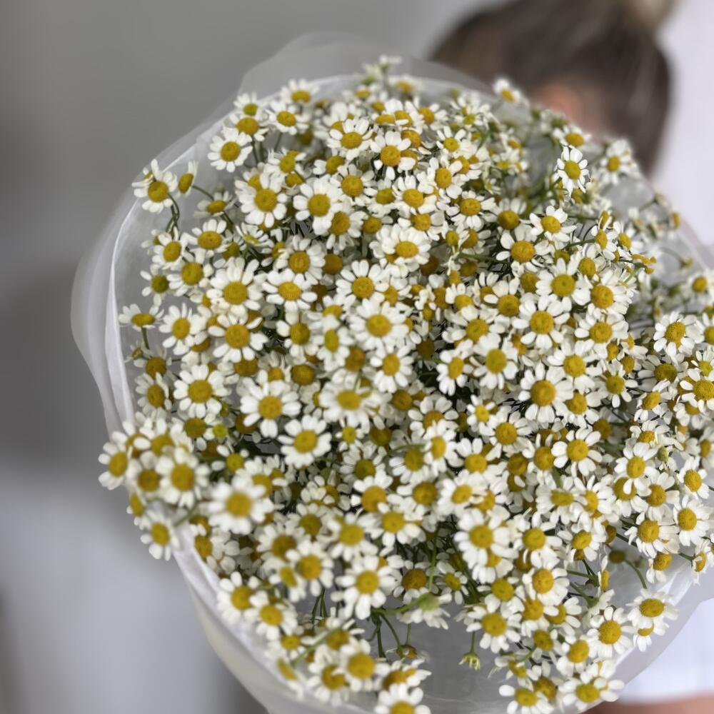 «Солнечные поля» 🌼