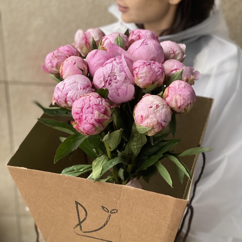 15 розовых пионов