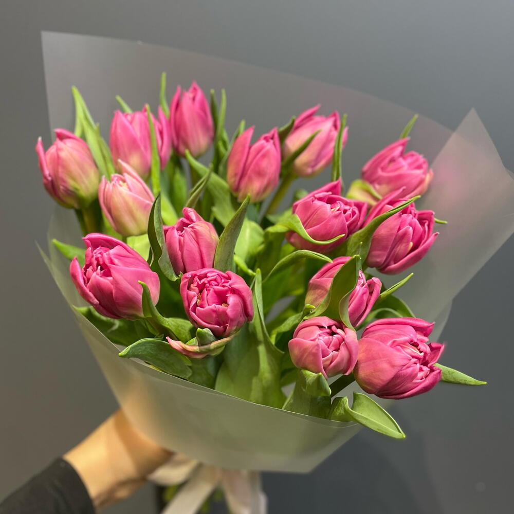 Малиновые пионовидные тюльпаны 15 штук 💐